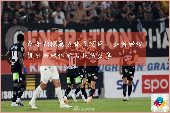新手初探赢点体育官网，如何轻松提升游戏体验与技巧分享