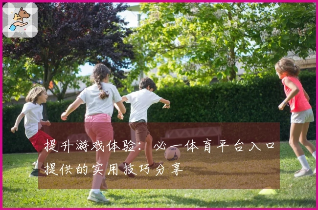 提升游戏体验：必一体育平台入口提供的实用技巧分享